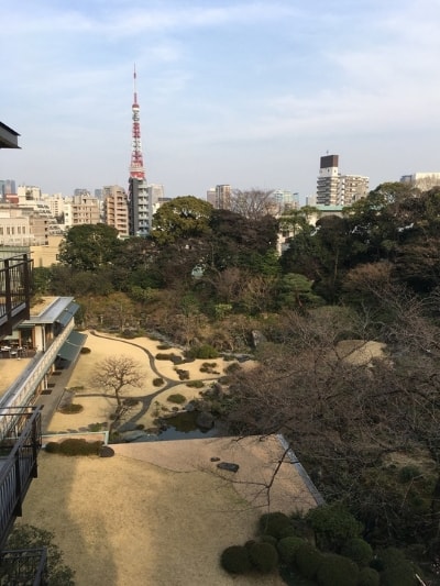 IMHPJ 21st Annual Conference - The view from the training center